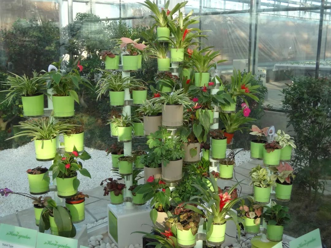 端午小长假去哪玩来这里过足瘾,临河五一假日攻略