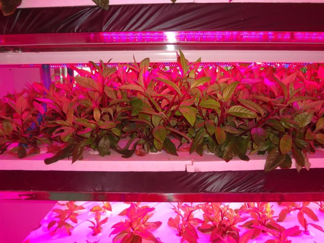 端午小长假去哪玩来这里过足瘾,临河五一假日攻略