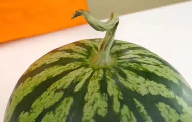 挑西瓜的小妙招你学会了吗,挑西瓜最甜的方法