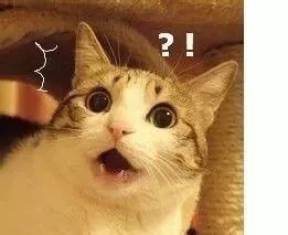 日本网红眼药水禁售原因,日本网红眼药水怎么没被禁售