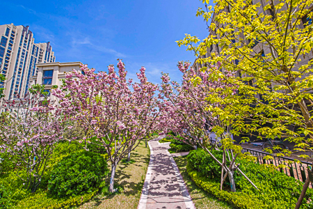 大连一方最新信息,大连一方广州