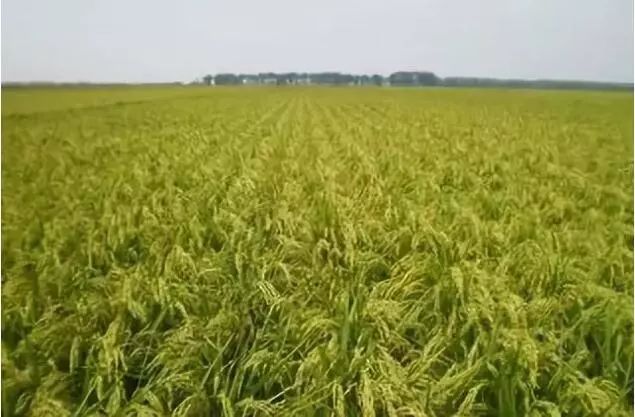 内蒙古有这么多特点之乡,内蒙古长调之乡