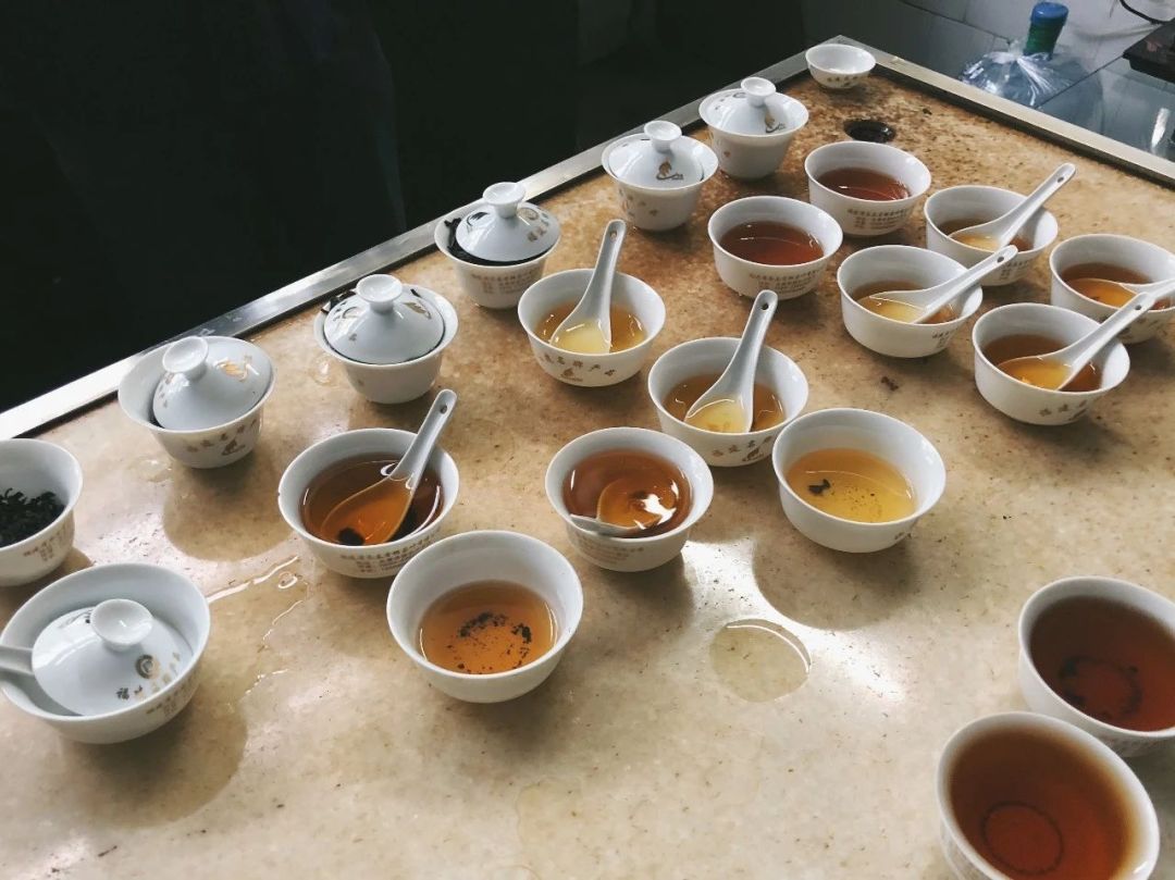 闽南铁观音和台湾乌龙的区别,闽南乌龙代表茶