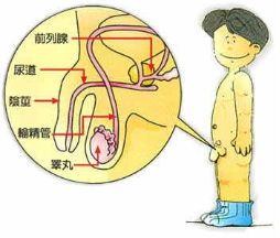 岭南妇科养生坊｜怀不上，生不出？这些年，不孕不育那些事（上）