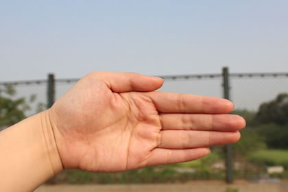 男人手相掌纹看相左手,男人左手手纹算命