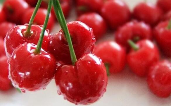 新鲜樱桃怎么保存,新鲜的樱桃怎么保存的时间更长