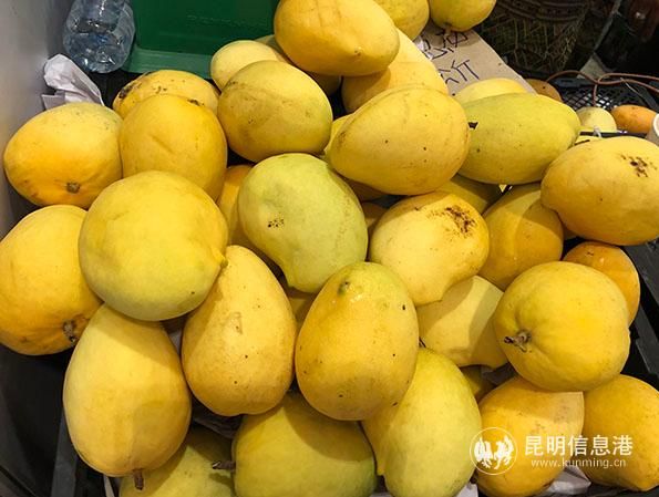 2019商洽会停车,商洽会攻略2019