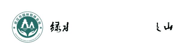 绿话题丨选牡丹为“国花”，你同意吗？