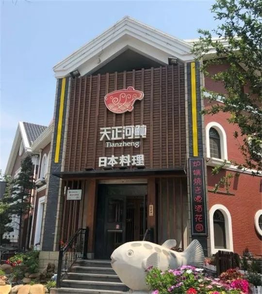 大连吃日料河豚推荐,大连顶级河豚料理