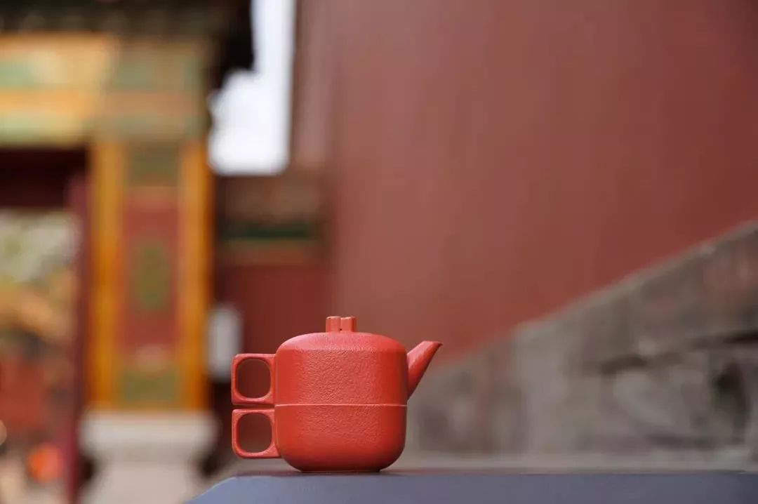 好物|闯入一片「圣诞森林」，治愈你的漫长冬季