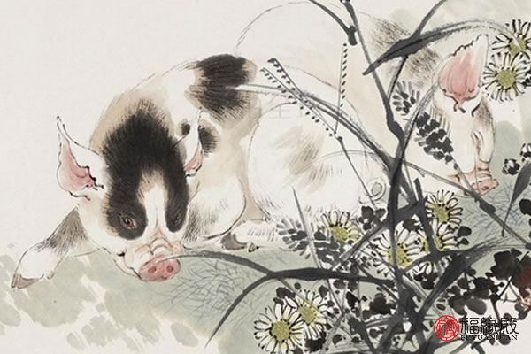 71年属猪到了54岁运气咋样了,71年属猪的人晚年命怎么样