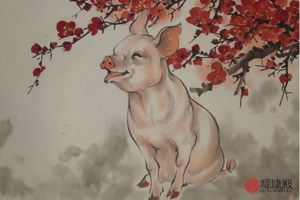 71年属猪到了54岁运气咋样了,71年属猪的人晚年命怎么样