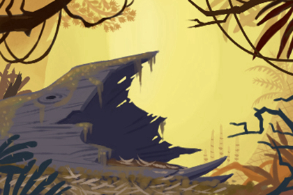 1995年的属猪女的最佳配偶,1995年属猪的男孩最佳配偶