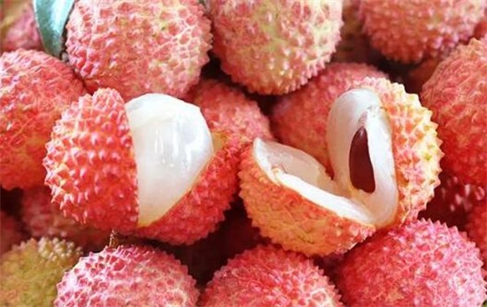 荔枝品种大全及图片,水培荔枝是什么品种的荔枝