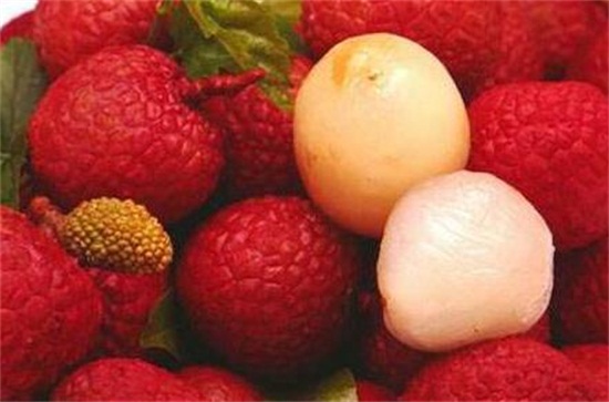 荔枝品种大全及图片,水培荔枝是什么品种的荔枝