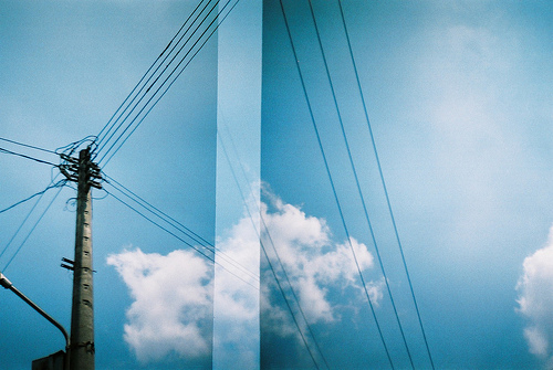 猪同狗生肖可以婚配吗,狗配猪生肖结婚最好