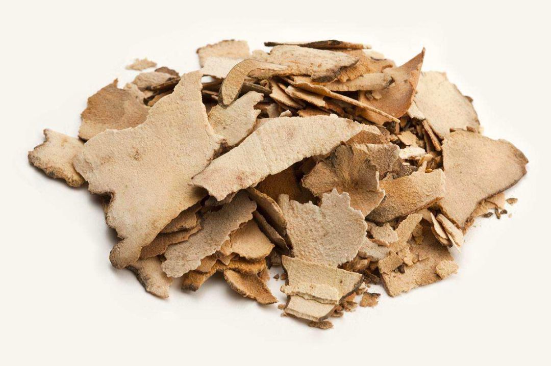 热卖龟苓膏,广州爆款龟苓膏