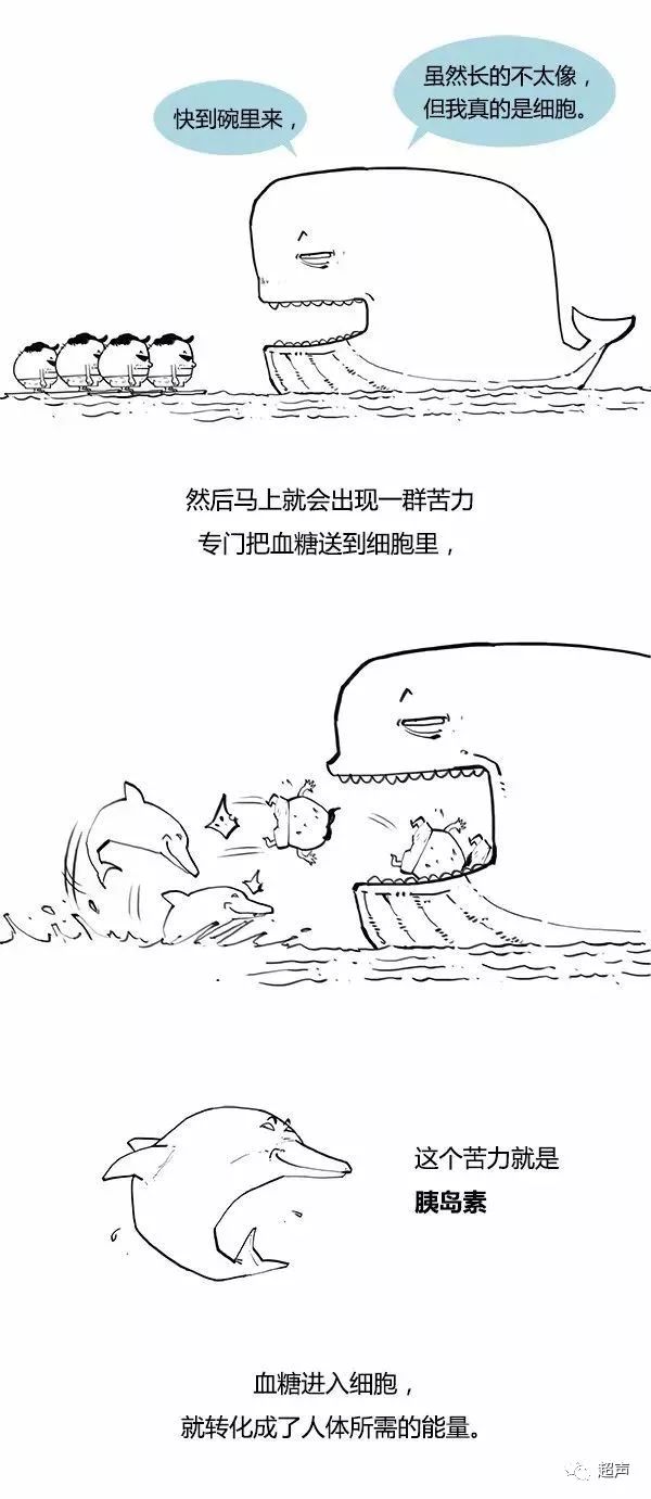 糖尿病科普知识漫画视频,糖尿病人寿命长短漫画