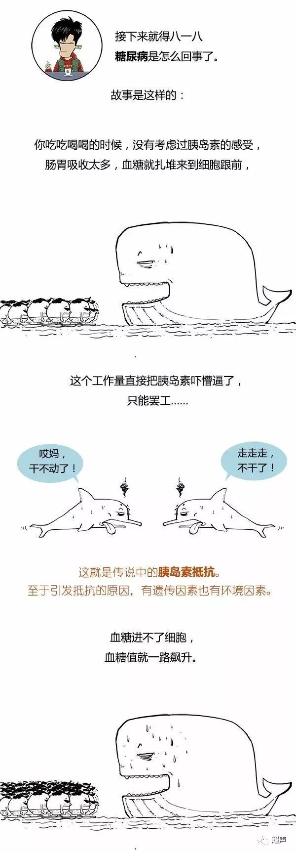 糖尿病科普知识漫画视频,糖尿病人寿命长短漫画