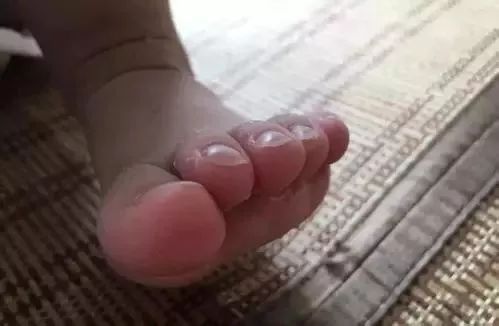 棉拖鞋界的爱马仕,拖鞋中的爱马仕网红拖鞋评测