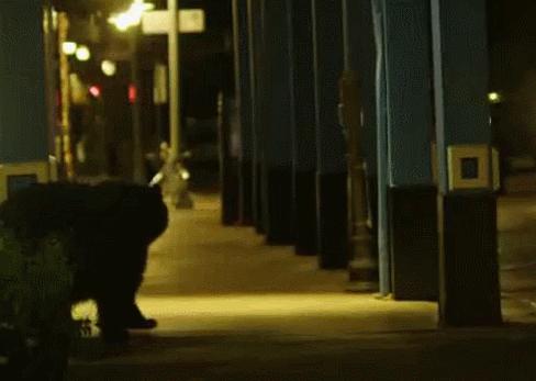 上海国际电影节汇集众多影展精粹,上海国际电影节首次推出露天展映