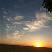 招商南油股吧,招商南油股吧601975