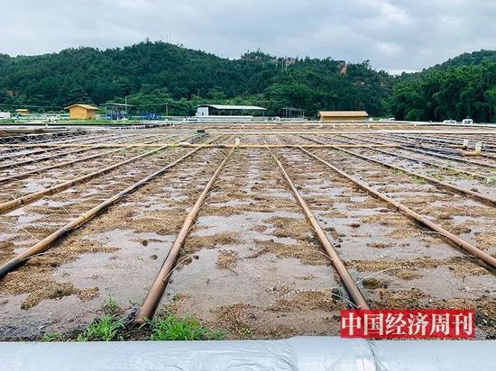 来自一线的*土稀**调查：美国为什么急了？