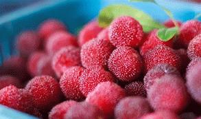 老苏州人喜欢的美食,苏州美食小时候的味道