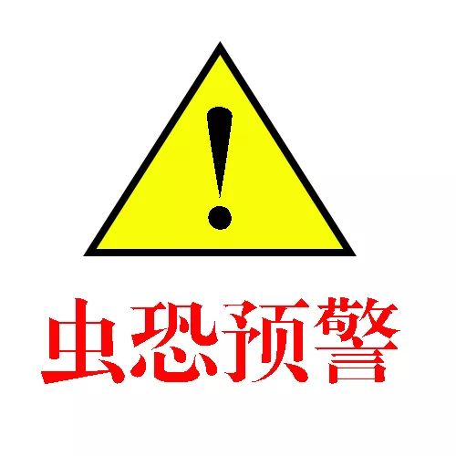 和隐翅虫差不多的黑色吸血虫,少见的吸血虫