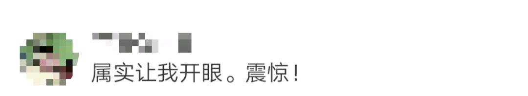 硕士论文被质疑了,硕士论文被批得很惨