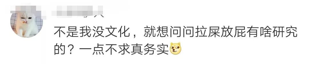 硕士论文被质疑了,硕士论文被批得很惨