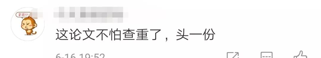 硕士论文被质疑了,硕士论文被批得很惨