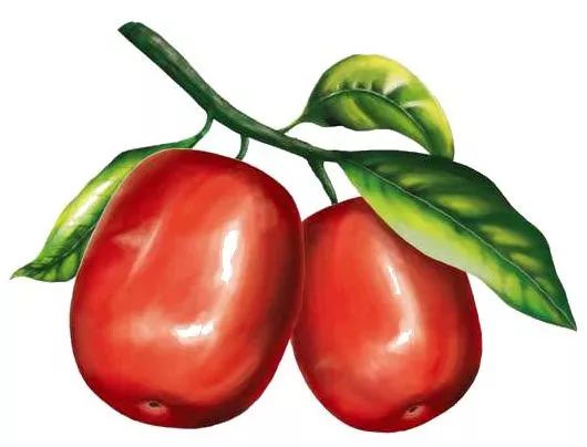 等你！认领相枣树，延续你与它的千年之约~