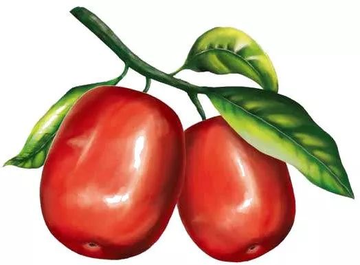 等你！认领相枣树，延续你与它的千年之约~