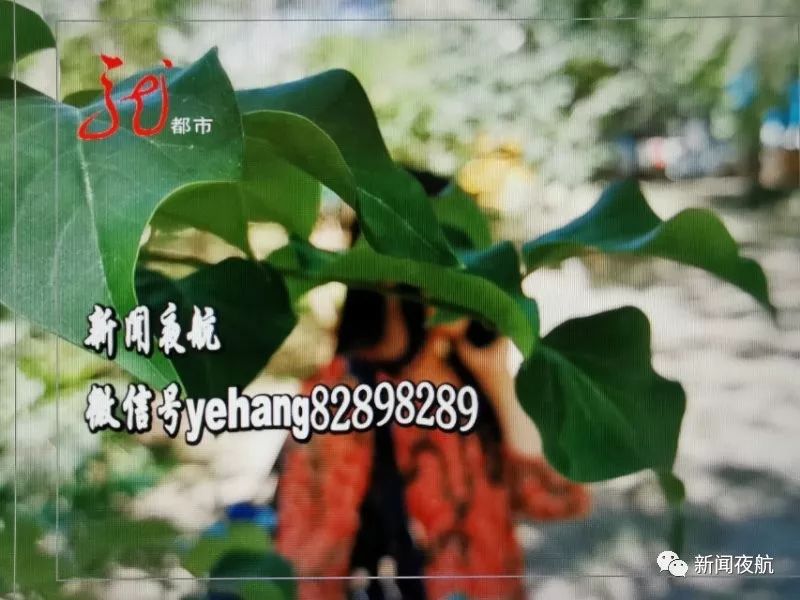 哈尔滨一联通手机用户莫名被扣费！一查账单，26个月里，扣掉468元！两名联通客服回答的不一样，到底听谁的？