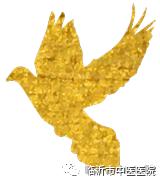 名医讲座直通车,名医直通车直播多长