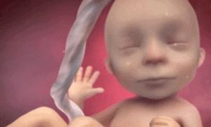 怎么数胎动最正确方法,看胎动