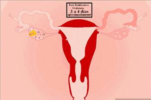 *裤内**上为什么总有分泌物？四种情况要警惕，尤其是最后一种