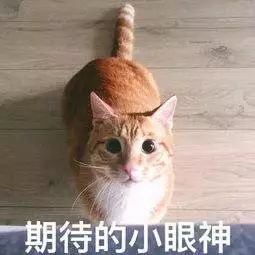 江西景区最新消息,江西十大坑人景区