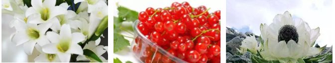 娜扎用的定妆喷雾,娜扎同款防晒喷雾推荐