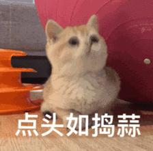 微商招代理骗局截图,微商招代理最新的骗局套路