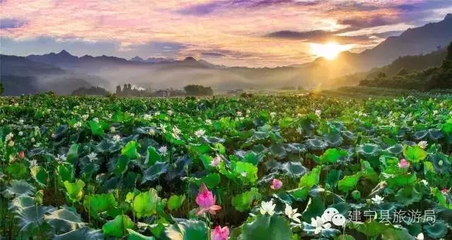 最氧三明风景图片,绿都三明风景图片