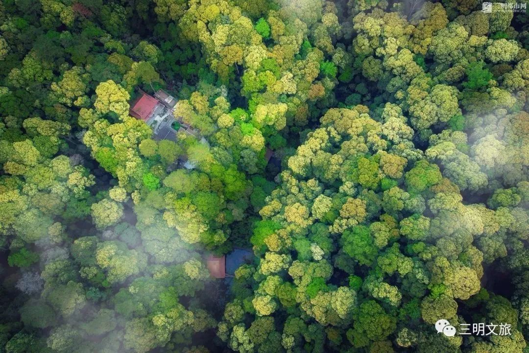 最氧三明风景图片,绿都三明风景图片