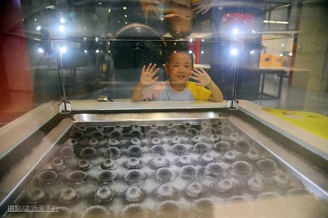 厦门带娃游玩景点推荐最新,厦门带娃必去景点攻略推荐