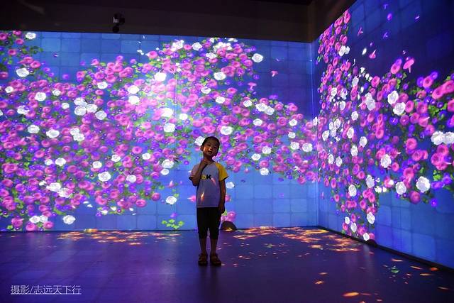 厦门带娃游玩景点推荐最新,厦门带娃必去景点攻略推荐