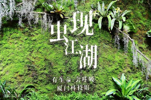 厦门带娃游玩景点推荐最新,厦门带娃必去景点攻略推荐