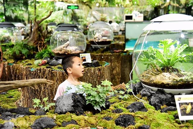 厦门带娃游玩景点推荐最新,厦门带娃必去景点攻略推荐