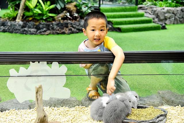 厦门带娃游玩景点推荐最新,厦门带娃必去景点攻略推荐