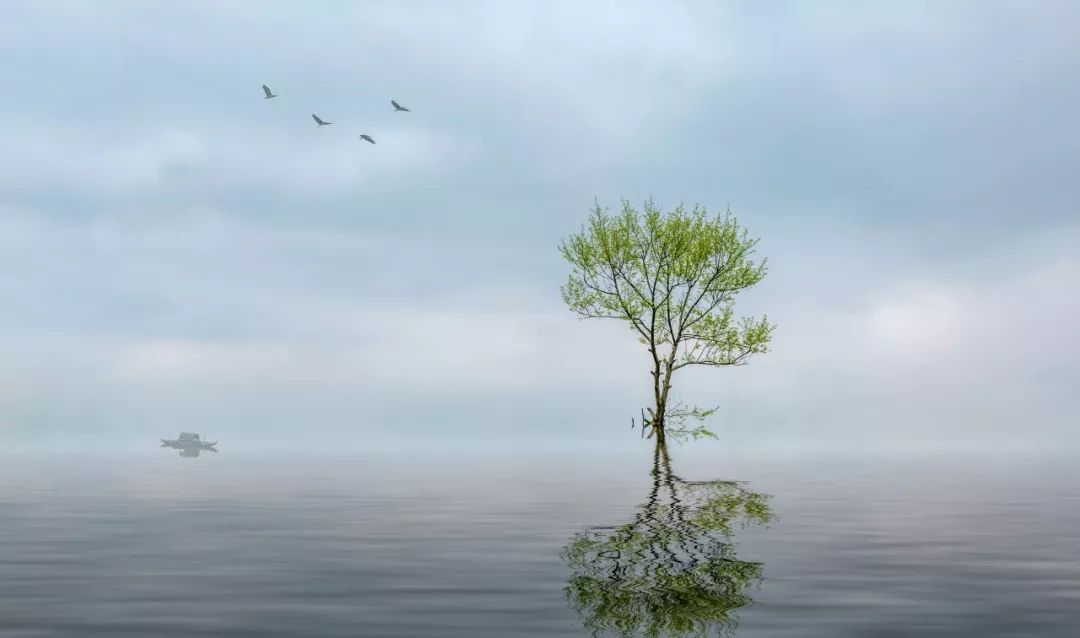 十首人生感悟的诗词,宽心诗词助你看开人生烦恼