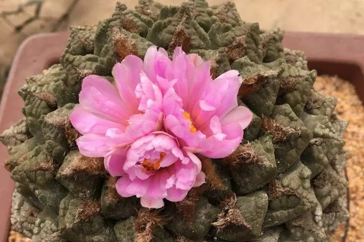 跟随杭州“自然大咖”的步伐，开启西湖秘境之旅！5天4夜，探索鲜为人知的寂静之地